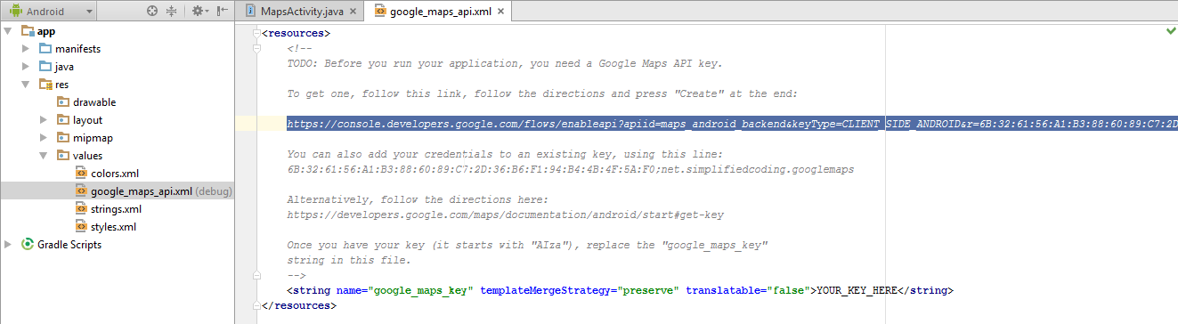 google maps api